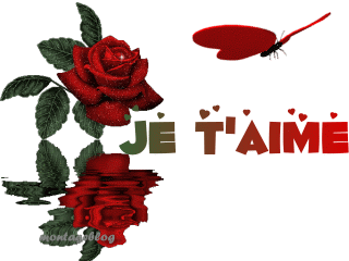 je taime mon amour
