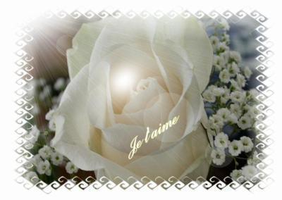 je taime mon amour